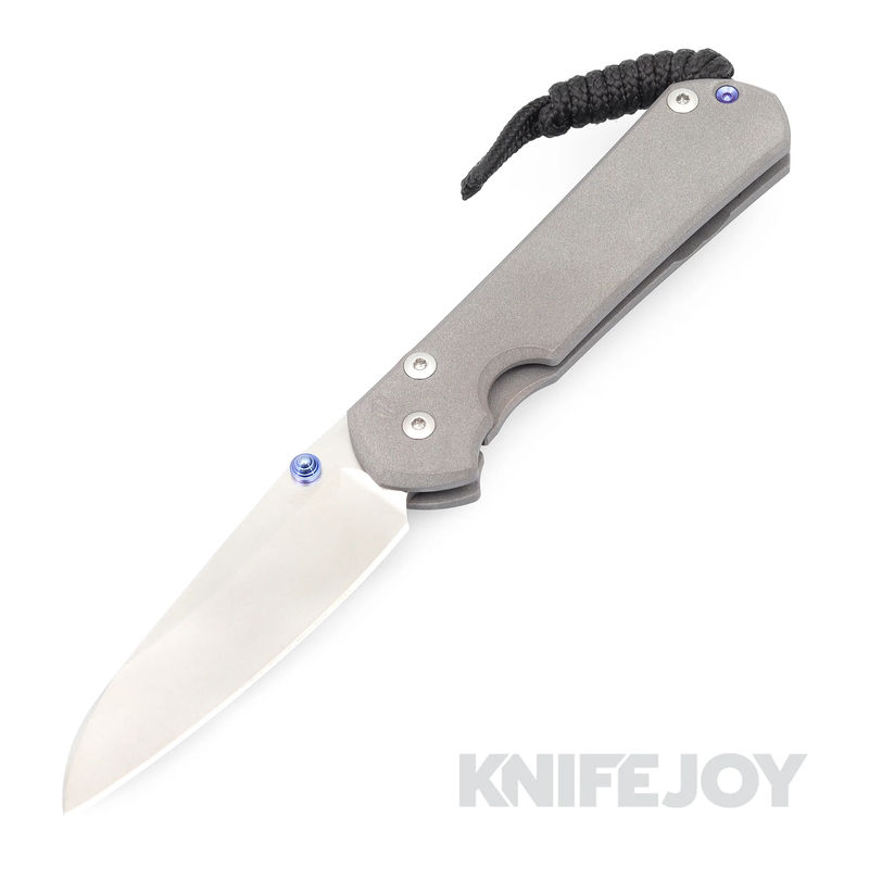 Chris Reeve Knives Small Sebenza 31 Plain Insingo Blade with Plain Titanium Handles