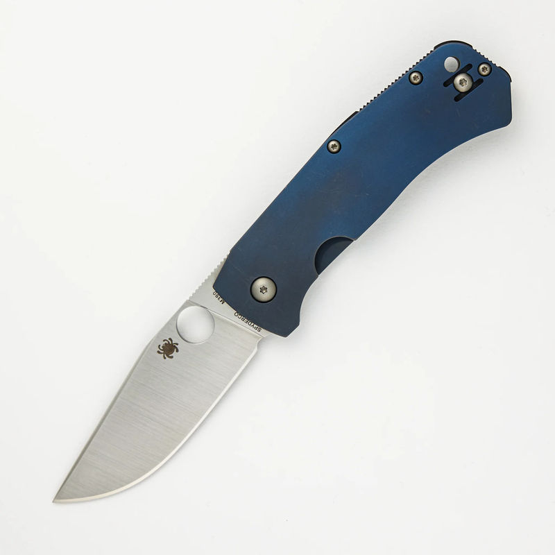 Slysz Bowie