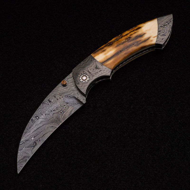 Hawkbill