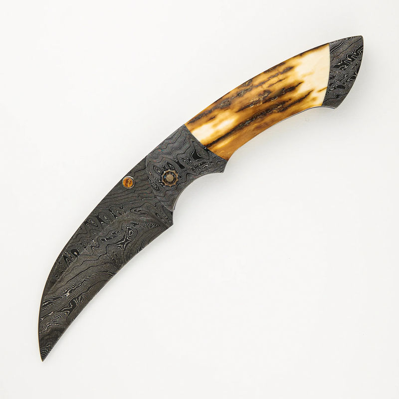 Hawkbill