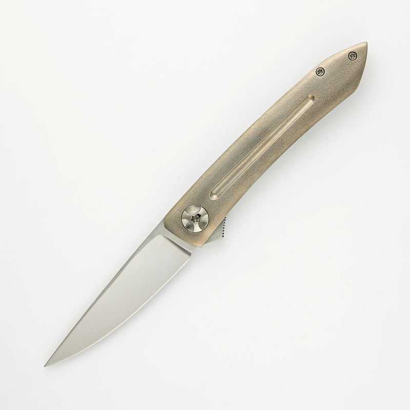 Anchovy